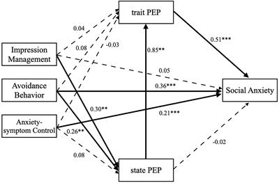 The relationship between three subtypes of safety behaviors and social anxiety: Serial mediating effects of state and trait post-event processing